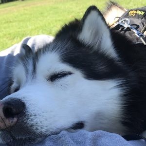 Meet your Posher, Joana